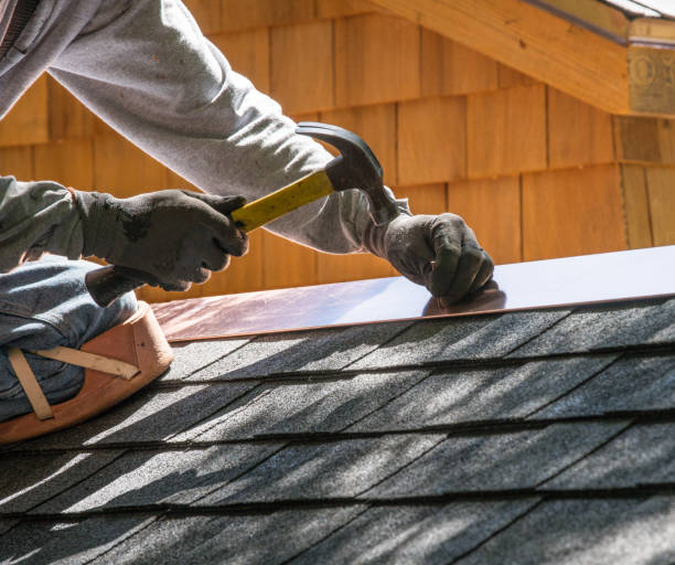 Best Roof Leak Repair  in Burgaw, NC